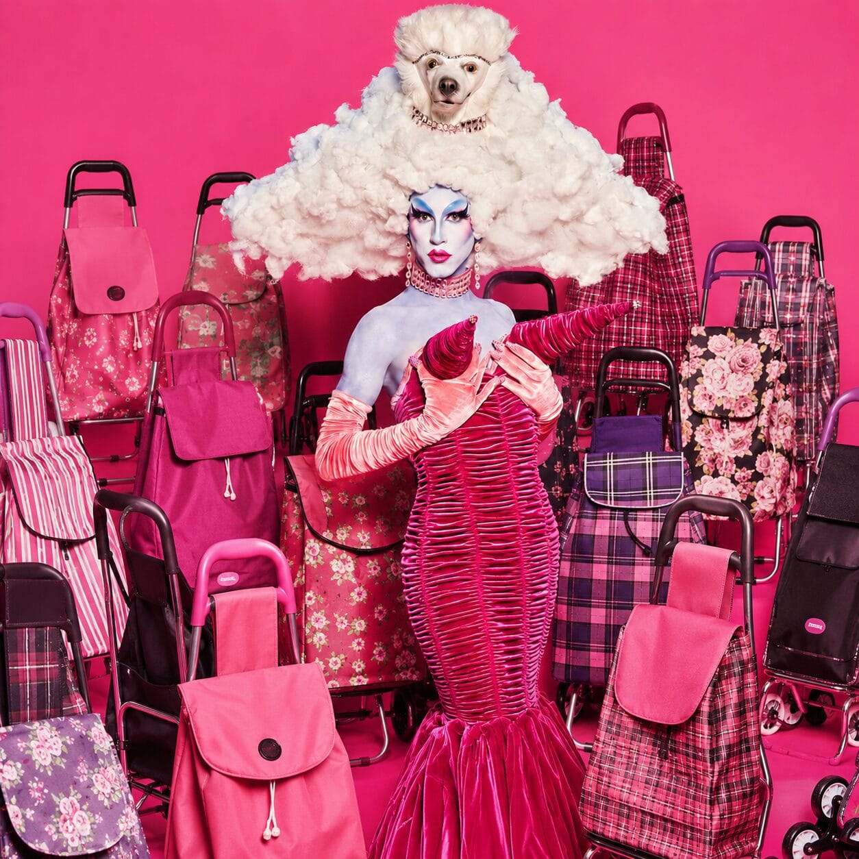 Kelly Passa se'n va al mercat